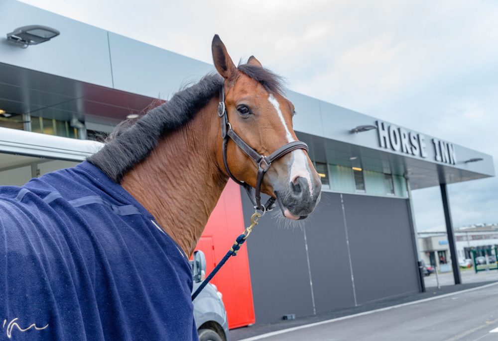 Das "Horse Inn" am Lütticher Flughafen (Bild: Jessica Defgnee/Belga)