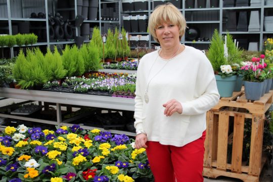 "Immergrün" in Bütgenbach (Bild: Lena Orban/BRF)