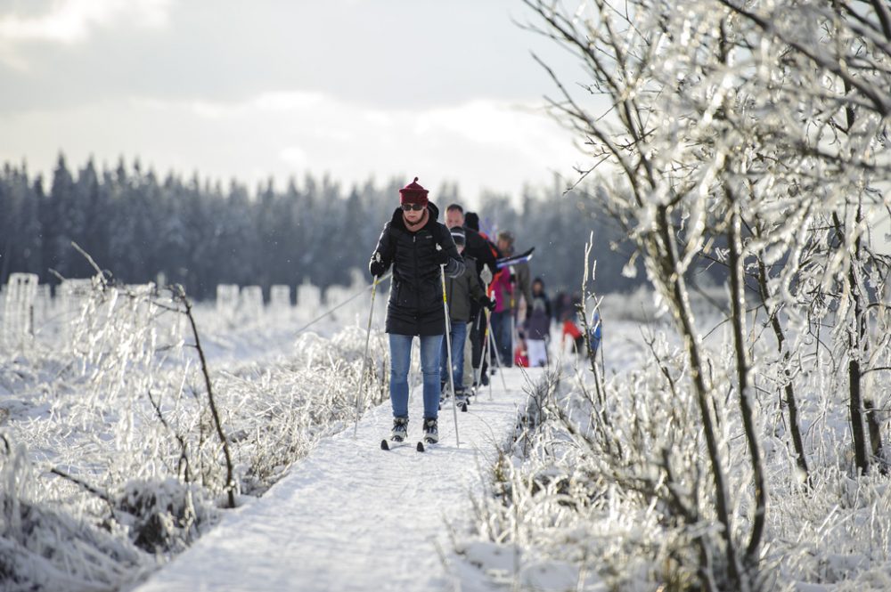 Skifahrer im Naturparkzentrum Botrange (Archivbild: Nicolas Lambert/Belga)