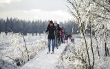 Skifahrer im Naturparkzentrum Botrange (Archivbild: Nicolas Lambert/Belga)