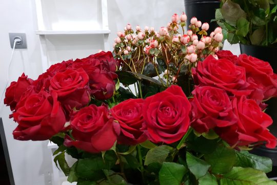 Bild: Lena Orban/BRF