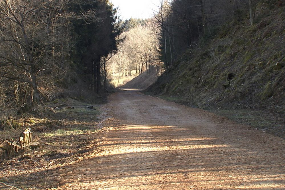 Vennbahn-Teilstück in der Gemeinde Burg-Reuland zwischen Auel, Burg-Reuland und Oudler