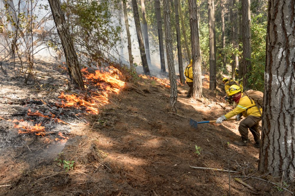 Waldbrand in Chile