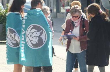 Partei Dier/Animal will bei den Europawahlen in Ostbelgien antre