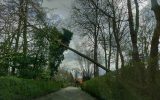 Umgestürzter Baum in Kortrijk