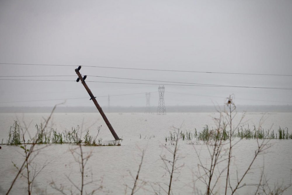 Überflutete Felder in Beira in Zentralmosambik (Bild: Adrien Barbier/AFP)