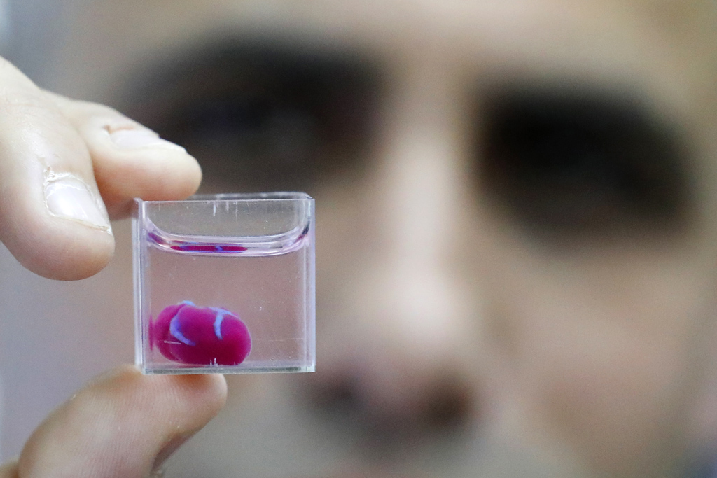 Israel: Forscher drucken Mini-Herz aus menschlichem Gewebe