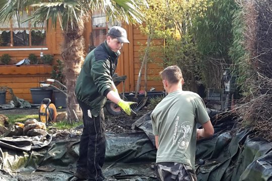 Liam Moor (links) schnuppert derzeit im Gartenbetrieb Arborado (Bild: Michaela Brück/BRF)Bild: Michaela Brück/BRF