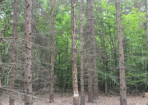 Bild: Polizei Aachen