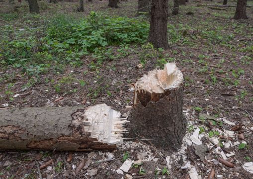 Bild: Polizei Aachen