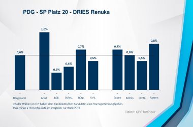 PDG - SP 20 - DRIES Renuka