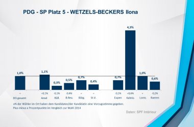 PDG - SP 5 - WETZELS-BECKERS Ilona