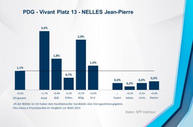 PDG - Vivant 13 - NELLES Jean-Pierre