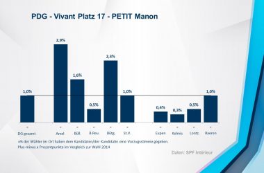 PDG - Vivant 17 - PETIT Manon