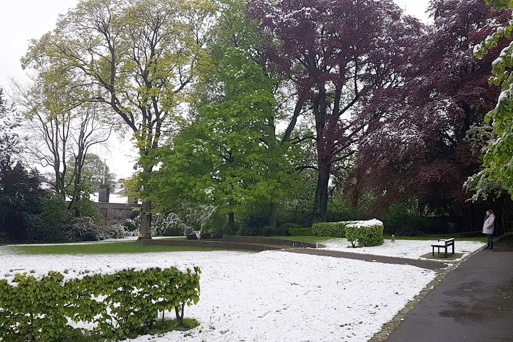 Schnee im Stadtpark Eupen am Samstagmorgen (Bild: BRF)