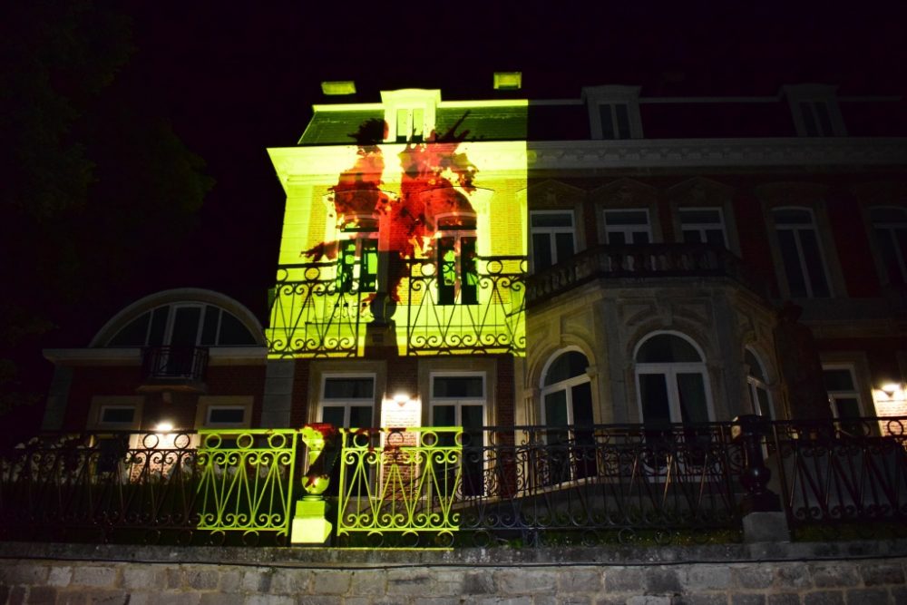 Blutiger wallonischer Hahn projiziert in Namur (Bild: Maxime Asselberghs/Belga)