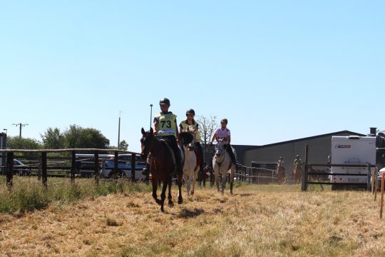 Bild: Christoph Heeren/BRF