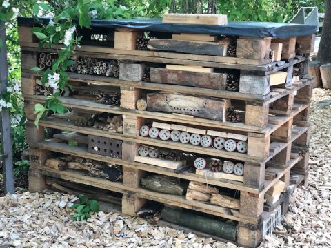 Insektenhotel (Foto: privat)