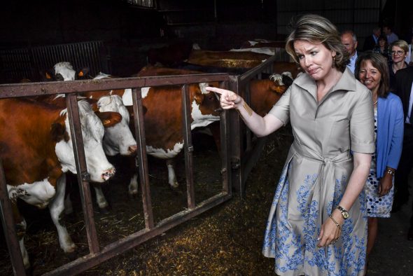 Königin Mathilde besucht einen Bauernhof