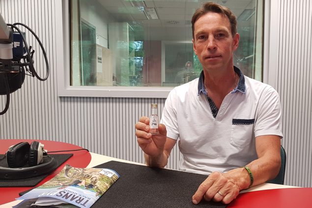 Pascal Peiffer im BRF-Studio (Bild: BRF)