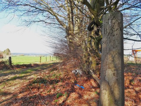 Preußischer Grenzpfahl Nr. 86 (Bild: Tourismusagentur Ostbelgien)