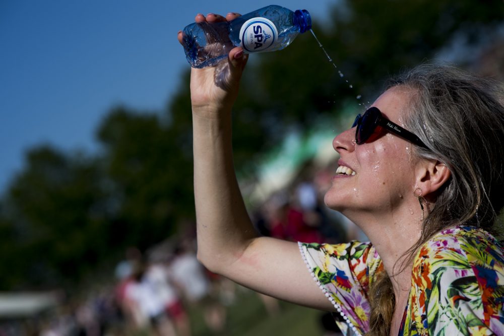 Werchter 2019 (Bild: Jasper Jacobs/Belga)