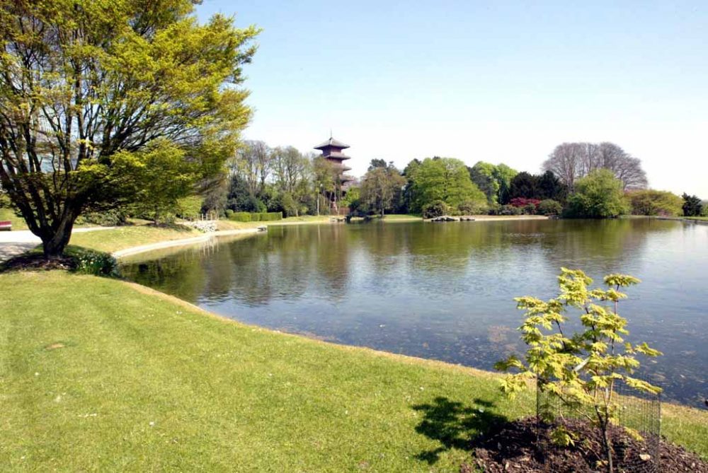 Der Garten des Königsschlosses in Laeken (Bild: Yves Boucau/Belga)