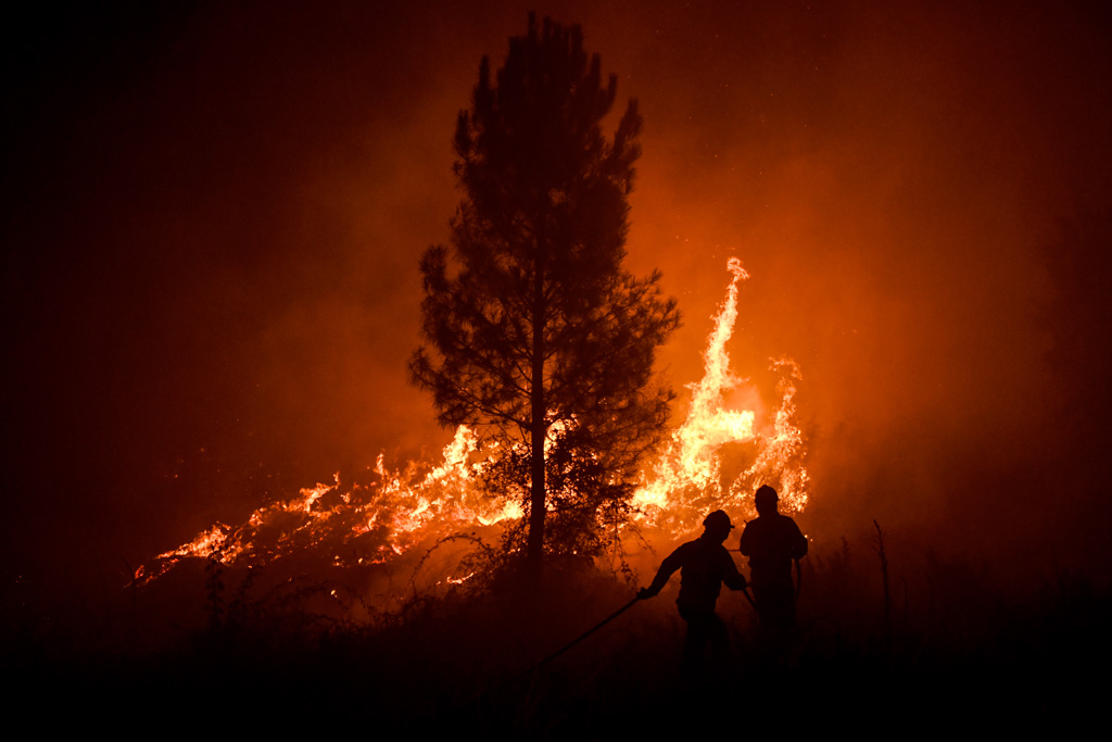 Schwere Waldbrände in Portugal