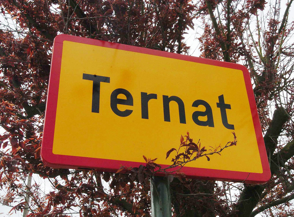 Stadtschild von Ternat (Bild: Herwig Vergult/Belga)