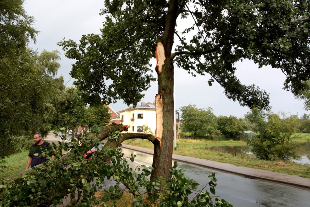 Unwetterschäden im Eupener Ortsteil Nöreth (Bild: Manuel Zimmermann/BRF)