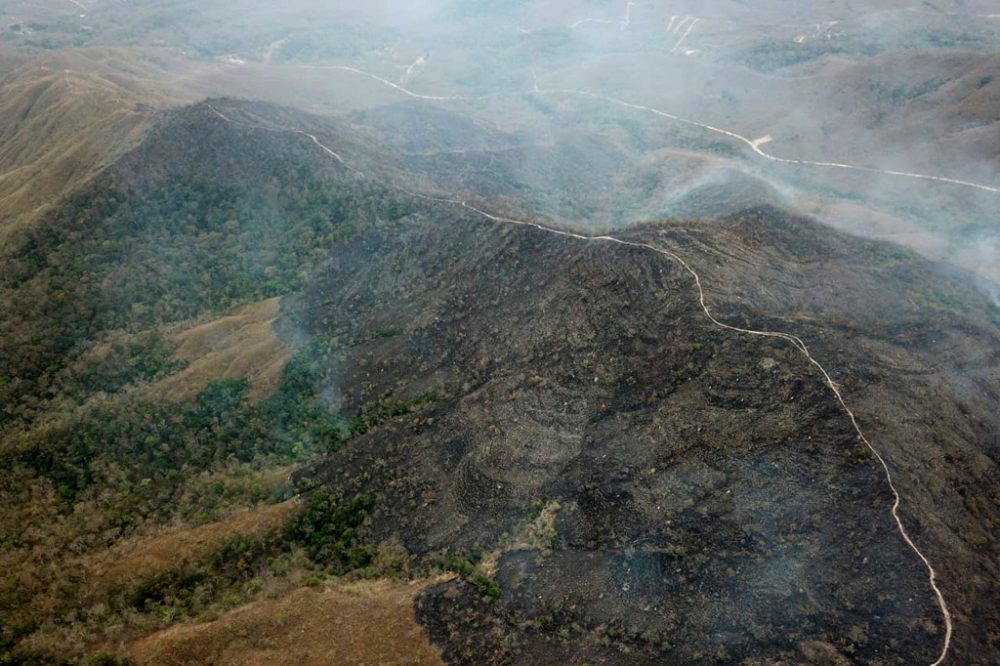 Dichter Rauch über dem Amazonas-Regenwald (Archivbild: HO/Mato Grosso Firefighters Department/AFP)