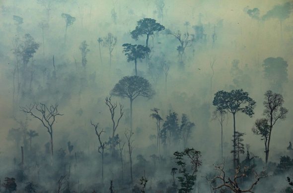 Waldbrände im Amazonas-Regenwald (Bild: Victor Moriyama/Greenpeace/AFP)