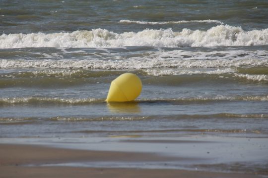 Illustrationsbild: Olivier Krickel/BRF