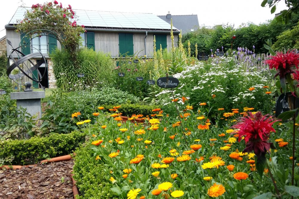 Der Heilpflanzen-Garten der Familie Schumacher in Eupen (Bild: Michaela Schumacher-Fank)