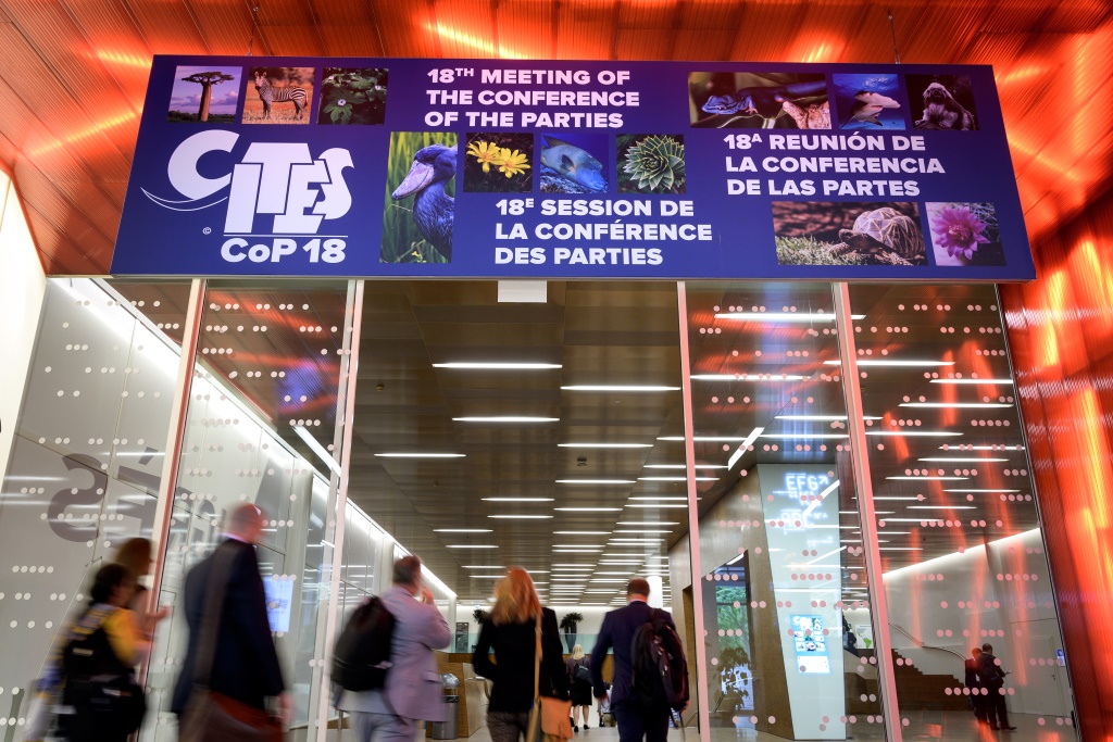 CITES-Konferenz in Genf (Bild: Fabrice Coffrini/AFP)