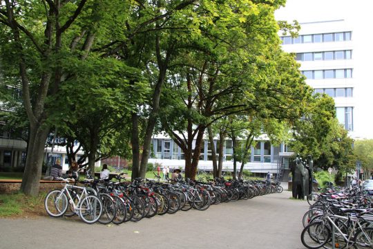 Bild: Olga Duckwitz/BRF