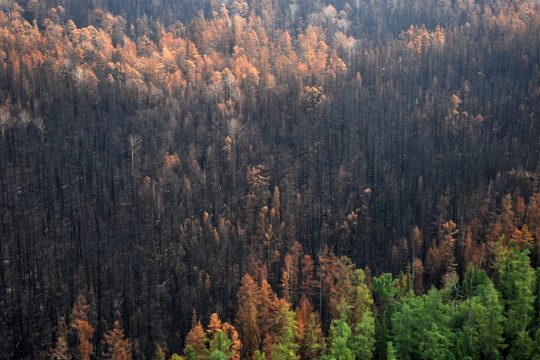 Walbrände in Russland