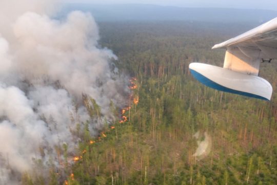 Waldbrand in Russland (Archivbild: AFP)