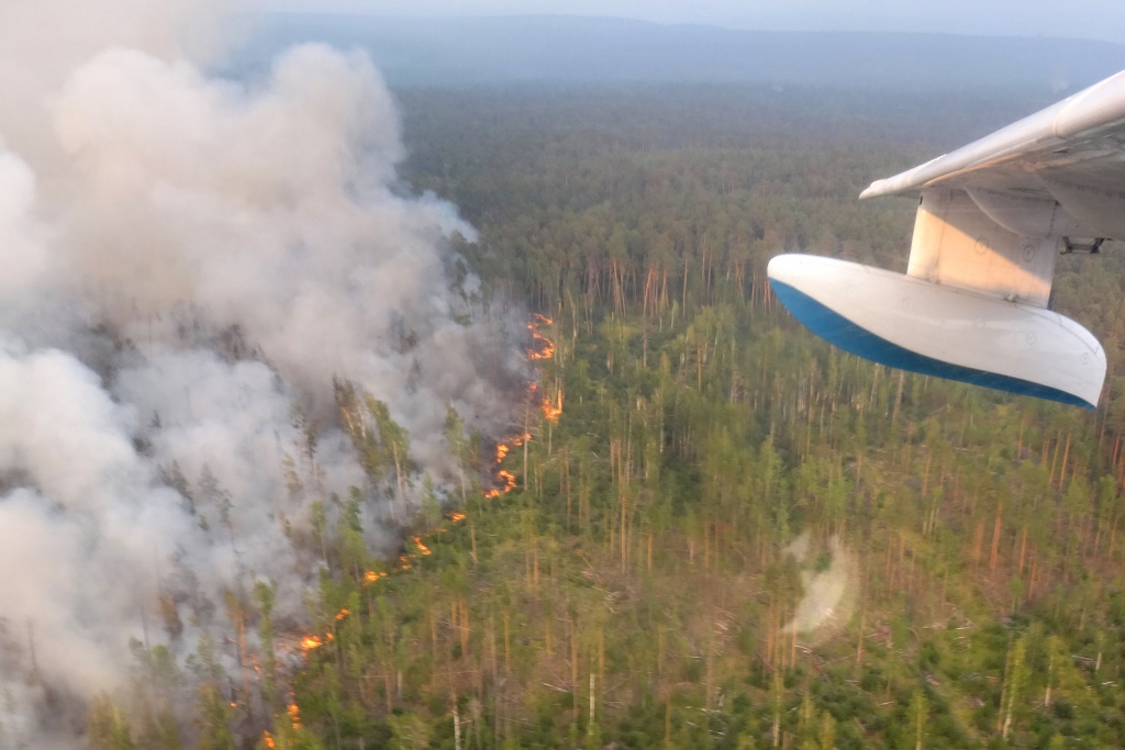 Waldbrand in Russland (Archivbild: AFP)