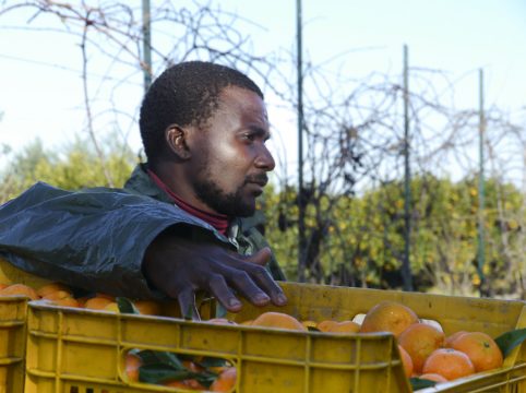 Bild aus der Ausstellung "Bitter Oranges" - via Chudoscnic Sunergia