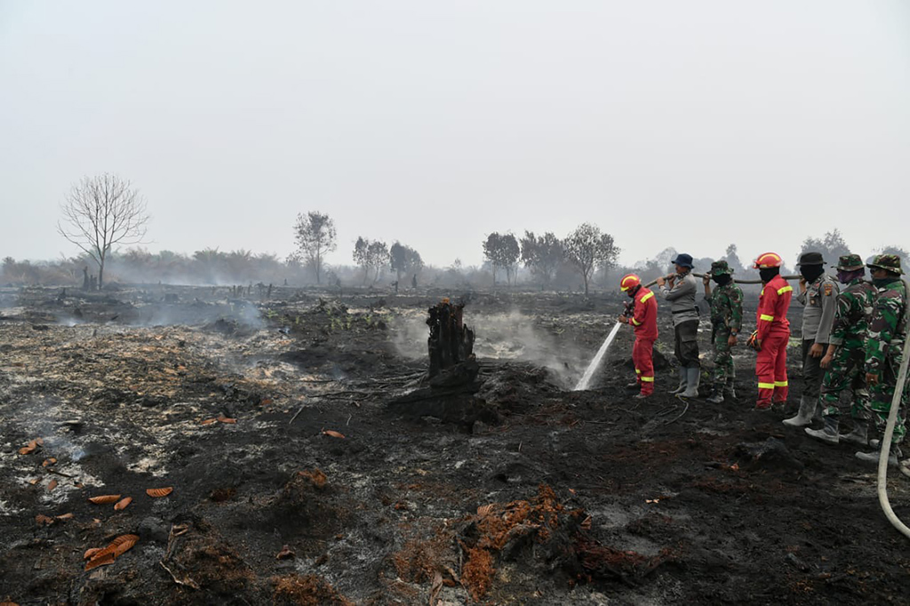 Waldbrände in Indonesien (Bild: Handout/Indonesian Presidential Palace/AFP)