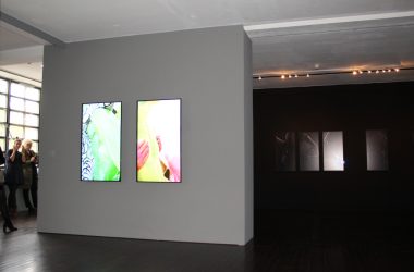 "Remote Control": Neue Ausstellung von Louisa Clement im Ludwig Forum (Bild: Katja Engel/BRF)