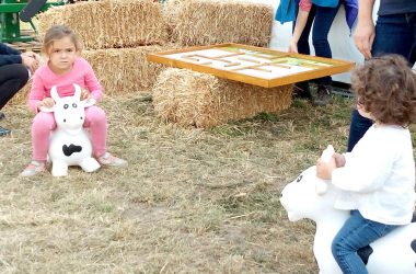 Landwirtschaftsmesse Battice