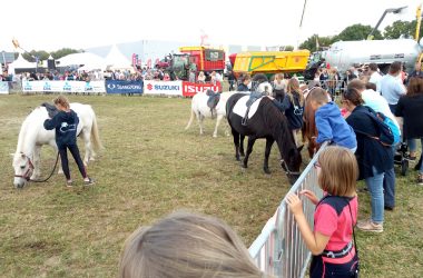 Landwirtschaftsmesse Battice