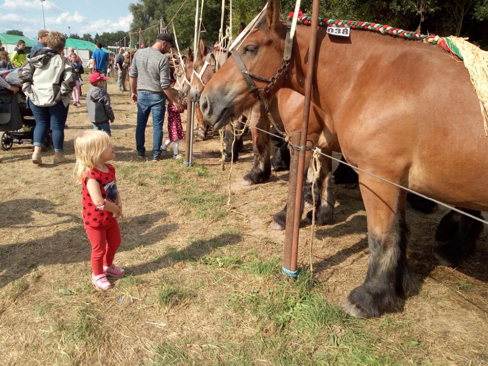 Landwirtschaftsmesse Battice