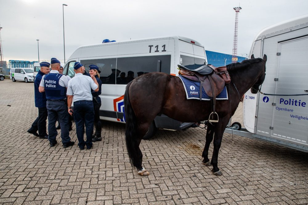 Polizeiaktion gegen Transitmigranten im Hafen von Zeebrugge