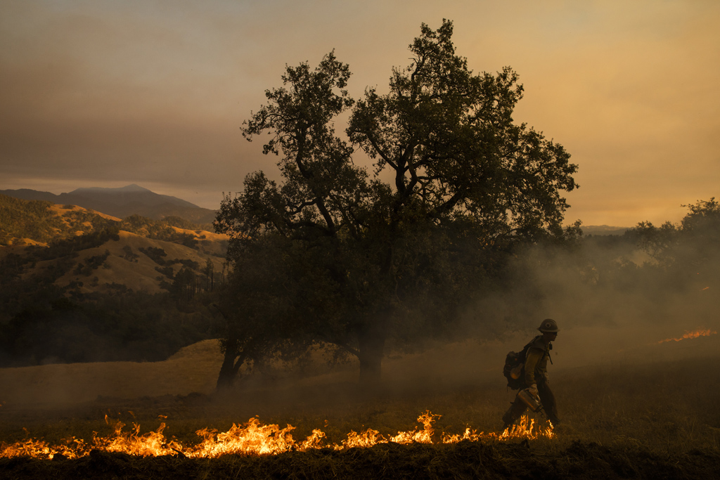 Waldbrände in Kalifornien (Bild: Philip Pacheco/AFP)