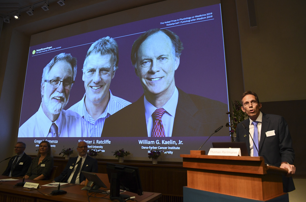 Gregg Semenza, Peter Ratcliffe und William Kaelin erhalten den diesjährigen Nobelpreis für Medizin (Bild: Jonathan Nackstrand/AFP)