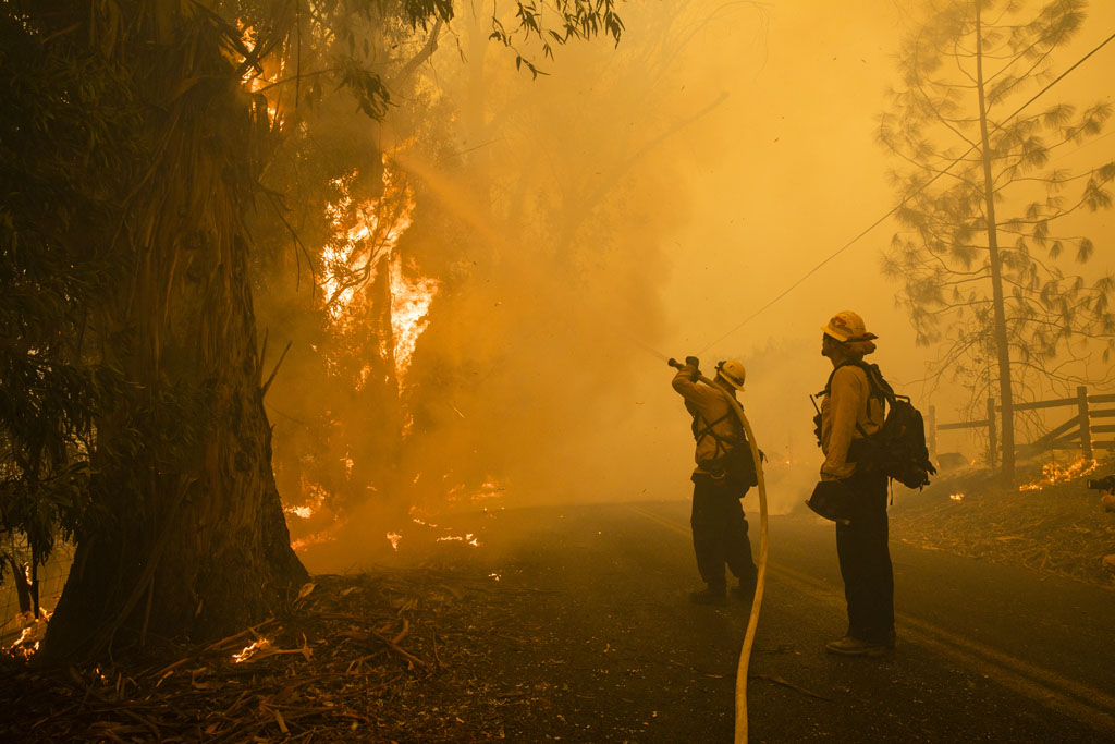 Feuerwehrleute kämpfen gegen die schweren Waldbrände in Kalifornien (Foto: Philip Pacheco, AFP)