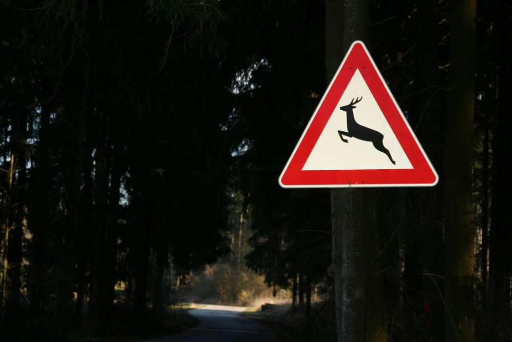 Wildwechsel-Schild im Wald (Bild: Willi Zell/Panther Media)